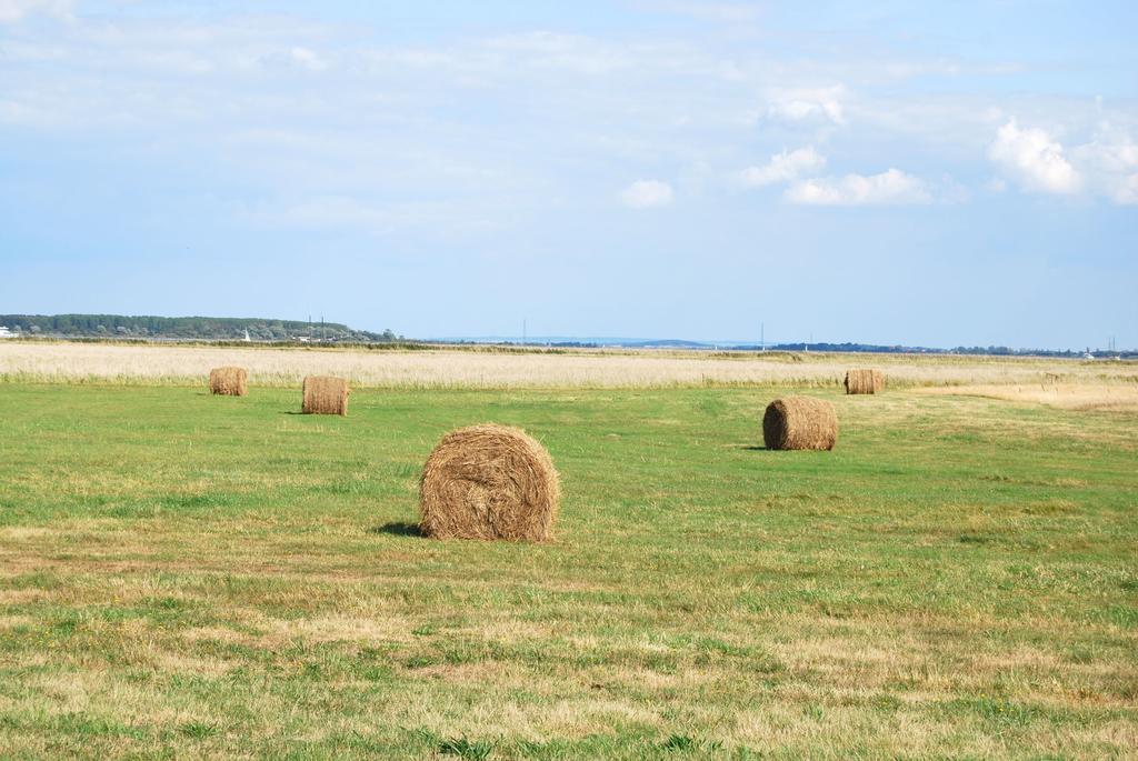 Ferienwohnung Hiddensee In 维特 外观 照片