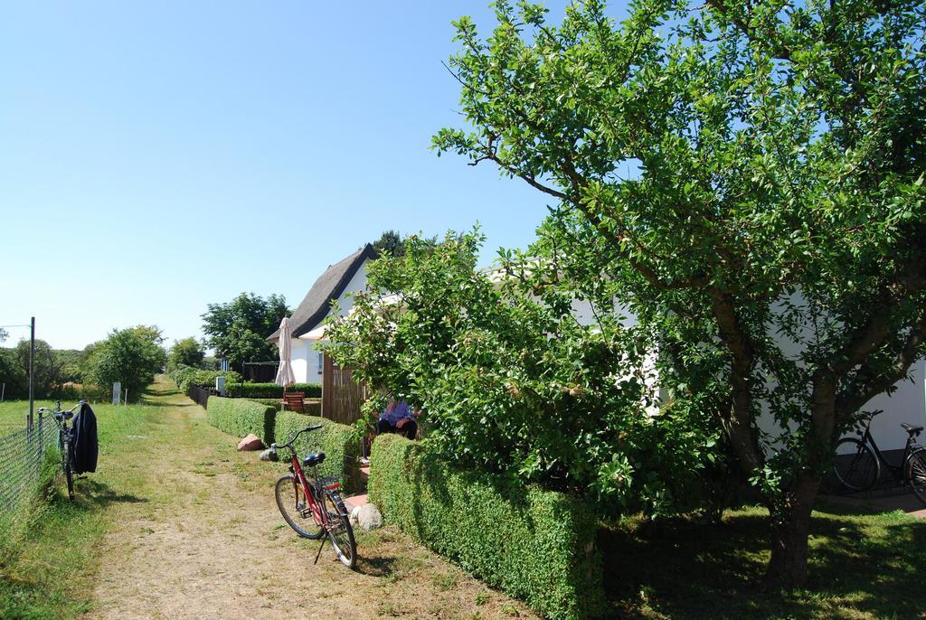 Ferienwohnung Hiddensee In 维特 外观 照片